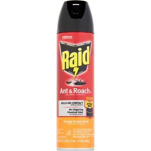 Ant & Spray Raid 17.5oz