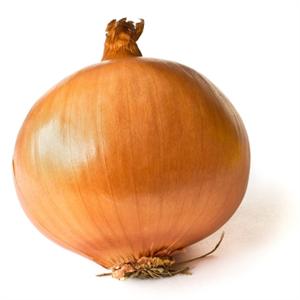 Yellow Onion Per Lb