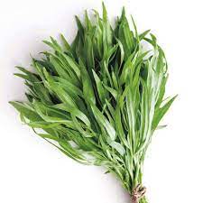 Tarragon