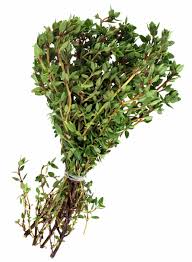 Thyme Bunch